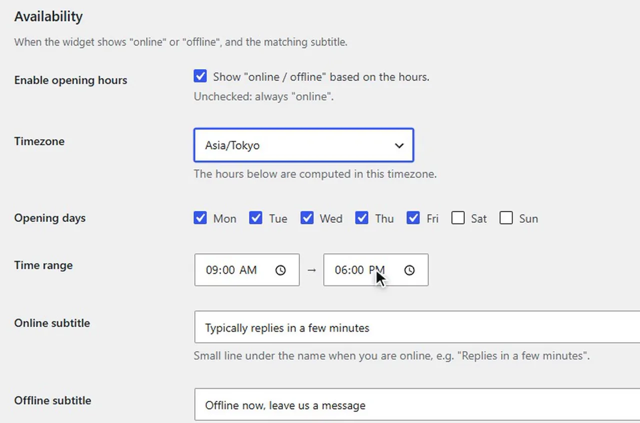 Plume Chat availability settings: opening hours, time zone, opening days, online and offline subtitles