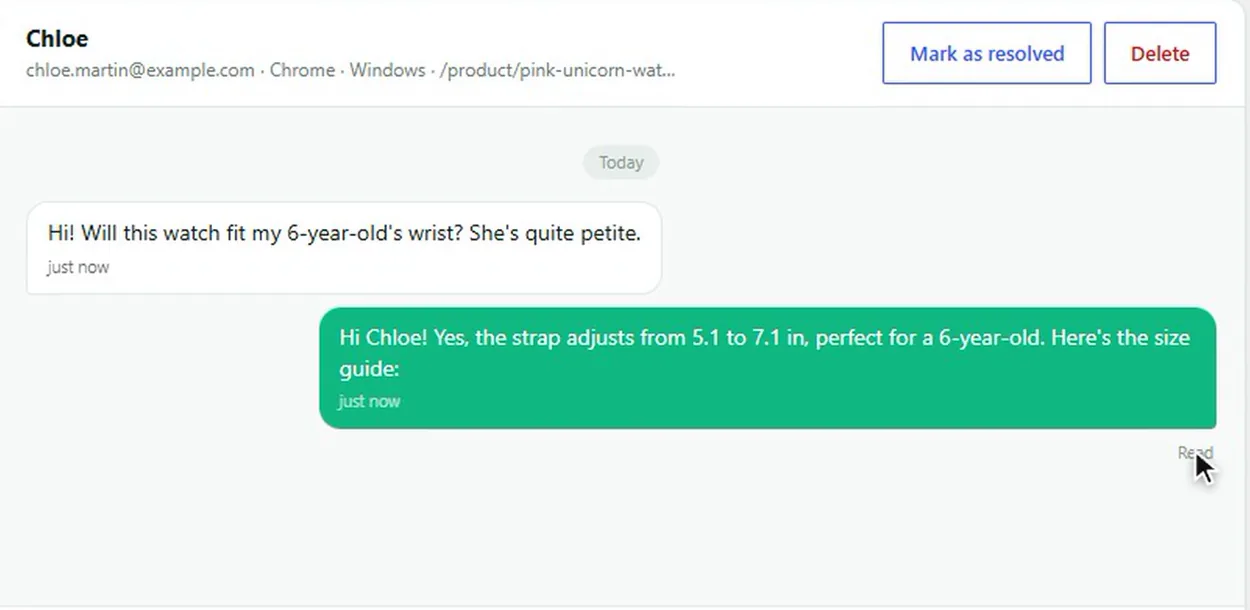 Plume Chat inbox in the WordPress admin: a visitor's question and the store's reply marked as read